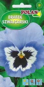 Nasiona i cebule - Bratek szwajcarski niebieski z plamą 0.4 g POLAN - miniaturka - grafika 1