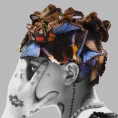 Rap, Hip Hop - Pułapka na motyle (Deluxe Edition) - miniaturka - grafika 1