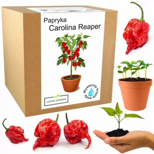 Zestaw do Uprawy Carolina Reaper HP22B Red nasiona - Nasiona i cebule - miniaturka - grafika 1
