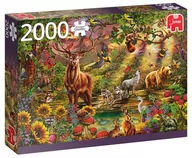 Puzzle - Puzzle, Jan Van Haasteren, Zachód Słońca W Magicznym Lesie, 2000 el. - miniaturka - grafika 1