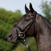 Ogłowia - KIEFFER Ogłowie z nachrapnikiem szwedzkim Verona Comfort - miniaturka - grafika 1