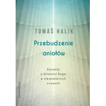 Przebudzenie aniołów. Kazania o bliskości Boga w niespokojnych czasach - Religia i religioznawstwo - miniaturka - grafika 1