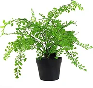 Sztuczne drzewka - Leaf Design UK AZ-Foliage Realistyczna sztuczna roślina liściowa z palmą w doniczce 50 cm - miniaturka - grafika 1