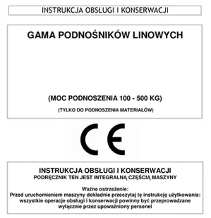 DESDEA Wciągarka elektryczna linowa budowlana 100kg/15m + sterowanie ręczne 1,5m - do wyboru ramię, maszt, podpory, uchwyt rusztowania(udźwig: 100 kg) 08179949 - Wciągarki - miniaturka - grafika 7