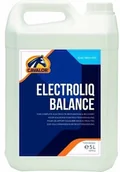 Akcesoria jeździeckie - CAVALOR Elektrolity ELECTROLIQ BALANCE 5l - płyn - miniaturka - grafika 1