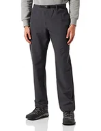 Spodenki męskie - Jack Wolfskin Męskie spodnie Summer Walk M spodnie rekreacyjne, Phantom, 50, Phantom, 50 - miniaturka - grafika 1