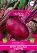 Nasiona i cebule - Burak ćwikłowy d'Egypte Egipski nasiona 10g WerbenaArt - miniaturka - grafika 1