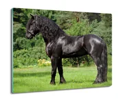 Deski do krojenia - z foto splashback druk Czarny koń drzewa 60x52, ArtprintCave - miniaturka - grafika 1