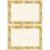 Dyplomy i okładki - Galeria Papieru Dyplom A4 170g Celtic - 25szt. - miniaturka - grafika 1