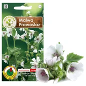 Nasiona i cebule - MALWA-PRAWOŚLAZ  ZIOŁA NASIONA ZIÓŁ BEZ GMO - miniaturka - grafika 1