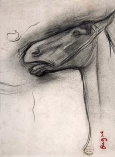 Galeria Plakatu, Plakat, Head Of A Horse, Edgar Degas, 70x100 cm - Plakaty - miniaturka - grafika 1