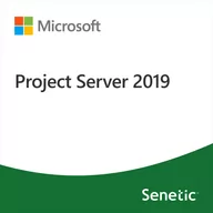Programy biurowe - Microsoft Project Server 2019 DG7GMGF0F4MH-0003 - miniaturka - grafika 1