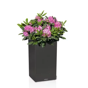 Donica Lechuza CANTO Stone Kolumna 40 LED grafitowy czarny - Donice - miniaturka - grafika 2