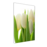 Obrazy i zdjęcia na płótnie - Foto obraz zdjęcie na szkle Białe tulipany - miniaturka - grafika 1