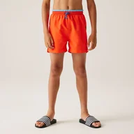 Kąpielówki dla chłopców - Regatta Dziecięce szorty kąpielowe Skander III Pomarańczowy, Rozmiar: 164 cm - miniaturka - grafika 1