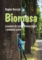 Technika - Biomasa surowiec do syntez chemicznych i produkcji paliw - miniaturka - grafika 1
