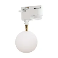 Lampy pozostałe - Lampa szynowa 1-fazowa ALI 9050WH Zuma Line - miniaturka - grafika 1