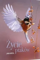 Nauki przyrodnicze - Życie ptaków - miniaturka - grafika 1
