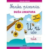 Książki edukacyjne - Nauka pisania Duża liniatura Beata Guzowska - miniaturka - grafika 1