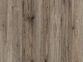 Meble modułowe i akcesoria - Okleina meblowa DĄB SANREMO Sepia 90 x 210 cm - miniaturka - grafika 1