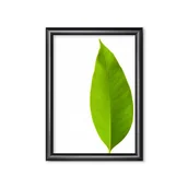 Ramki na zdjęcia - Ramka zatrzaskowa, rama plakatowa, ramka na zdjęcie, A3, 25 mm, czarny - miniaturka - grafika 1