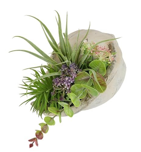Flair Flower Sztuczna aranżacja sukulentów, agawa, aloes, juka, sanseveria, kaktusy, sztuczny mech, kaktus, roślina pokojowa, roślina stołowa, sztuczny kwiat w muszli