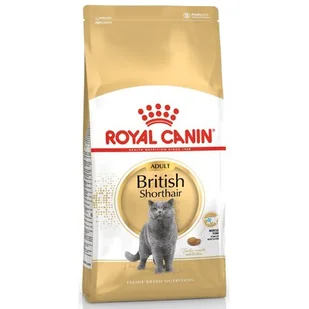 Royal Canin British Shorthair 10 kg - Sucha karma dla kotów - miniaturka - grafika 1