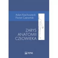 Podręczniki dla szkół wyższych - Wydawnictwo Lekarskie PZWL Zarys anatomii człowieka Adam Krechowiecki - miniaturka - grafika 1