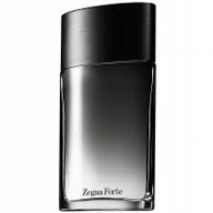 Wody i perfumy męskie - Ermenegildo Zegna Zegna Forte Woda toaletowa 100ml - miniaturka - grafika 1