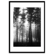 Ramki na zdjęcia - Obraz Framepic 50 x 70 cm FP046 FOREST - miniaturka - grafika 1