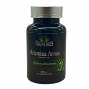 Odchudzanie i oczyszczanie - PROHERBIS (YUCCA) Artemisia annua 100 kapsułek Artemizyna Bylica jednoroczna C106-8227E - miniaturka - grafika 1