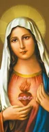 Ikony i obrazy sakralne - Baner Najświętsze Serce Maryi 75x200cm - miniaturka - grafika 1