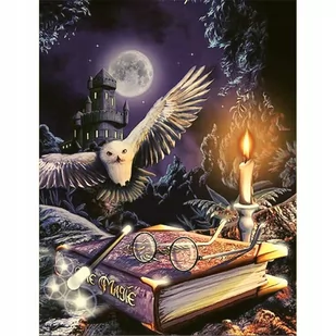 HAFT DIAMENTOWY Mozaika Zestaw 5D Harry Potter - Kolorowanki, wyklejanki - miniaturka - grafika 1