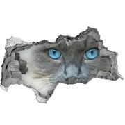 Fototapety - Dziura 3d fototapeta na ścianę Kot niebieskie oczy - miniaturka - grafika 1