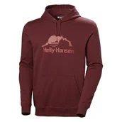 Bluzy męskie - NORD GRAPHIC PULL OVER HOODIE 62975_180 - miniaturka - grafika 1