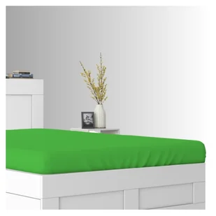 Prześcieradło Frotte Z Gumką Do Łóżeczka 60x120 Zieleń 180 GSM Grube Premium - Prześcieradła dla dzieci Prześcieradło Frotte Z Gumką Do Łóżeczka 60x120 Zieleń 180 GSM Grube Premium - Prześcieradła dla dzieci - miniaturka - grafika 1