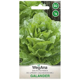 Sałata Rzymska Galander do uprawy całosezonowej 1g GMO Free - Nasiona i cebule - miniaturka - grafika 1
