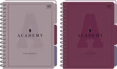 Zeszyty szkolne - Interdruk Kołozeszyt z przekładkami B5 PP Academy kratka 100 kartek - miniaturka - grafika 1
