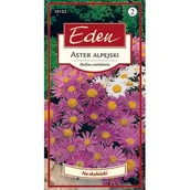 Nasiona i cebule - Aster alpejski mix 0,5 g Eden - miniaturka - grafika 1