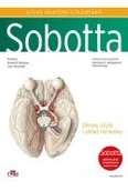 Książki medyczne - Atlas anatomii człowieka Sobotta Tom 3. Angielskie mianownictwo  Głowa, szyja i układ nerwowy - miniaturka - grafika 1