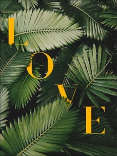 Liście Love - plakat Wymiar do wyboru: 40x50 cm - Plakaty Liście Love - plakat Wymiar do wyboru: 40x50 cm - Plakaty - miniaturka - grafika 1