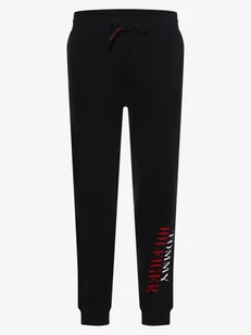 Tommy Hilfiger Spodnie dresowe męskie, niebieski - Spodnie sportowe męskie - miniaturka - grafika 1