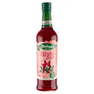 Syropy i koncentraty owocowe - Herbapol Syrop owocowa spiżarnia dzika róża 550g/420 ml - miniaturka - grafika 1