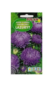 Aster piwoniowy Lazuryt fiołkowy 1 g POLAN - Nasiona i cebule - miniaturka - grafika 1