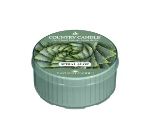 Country Candle - Spiral Aloe - Daylight (42G) - Świece - miniaturka - grafika 1