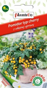 NASIONA Pomidor Koktajlowy Cherry Aztek 0,2g PLANTICO Do Sałatek 426511 - Nasiona i cebule - miniaturka - grafika 1