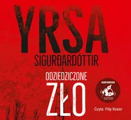 Kryminały - Odziedziczone zło - Yrsa Sigurdardottir - audiobook - miniaturka - grafika 1
