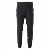 Dresy męskie - MĘSKIE SPODNIE DRESOWE HOBAN IGUANA L - miniaturka - grafika 1