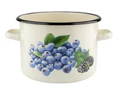 Garnki - Garnek emaliowany na indukcję i gaz Emalia Polska Pleszew Borówka 20 cm 4,5 l - miniaturka - grafika 1