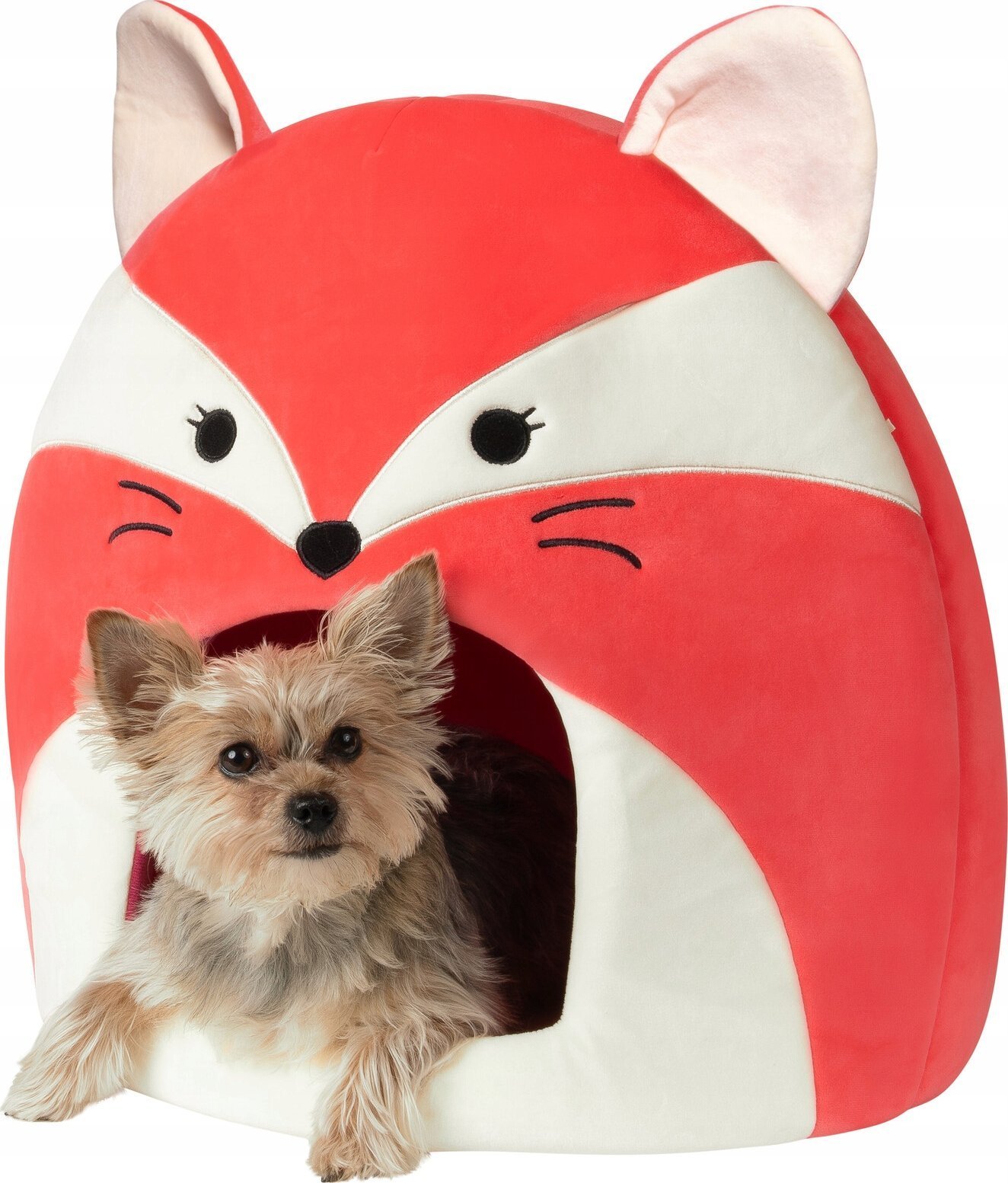 JAS PETS DOMEK FIFI LIS